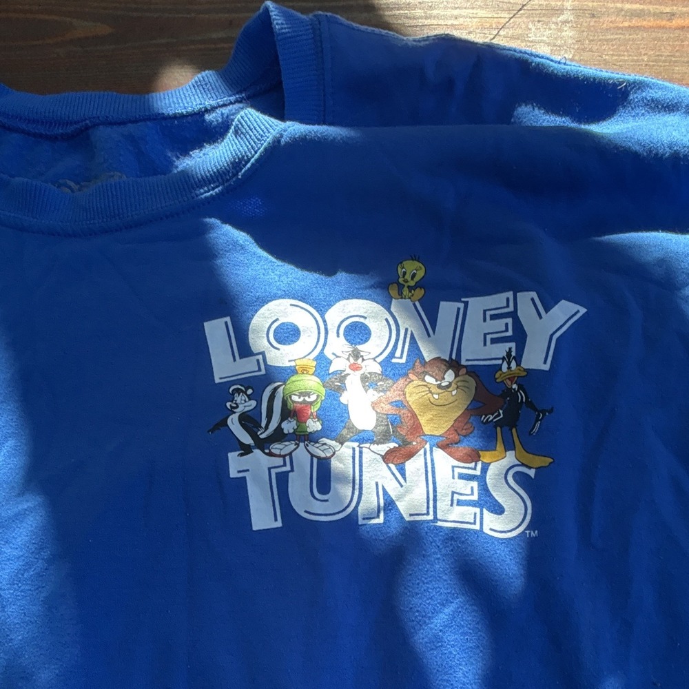 Looney Tunes Men's Blue Fleece Crewneck Pullover Graphic Sweatshirt XXL